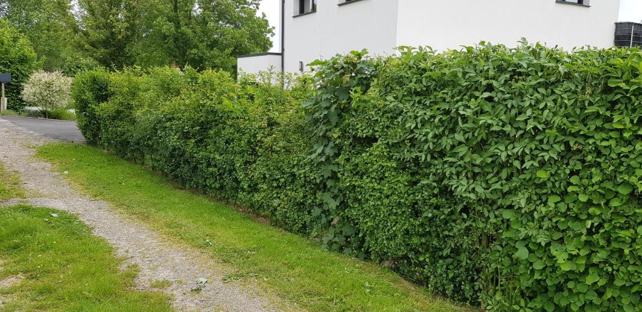 Maison Moderne A La Campagne Bezinghem Εξωτερικό φωτογραφία